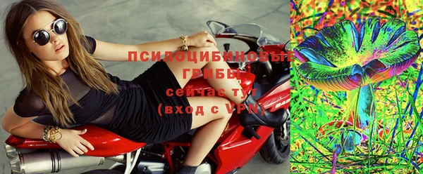 дживик Аркадак