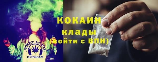 дурь Алзамай