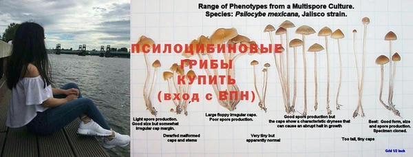 mix Арсеньев