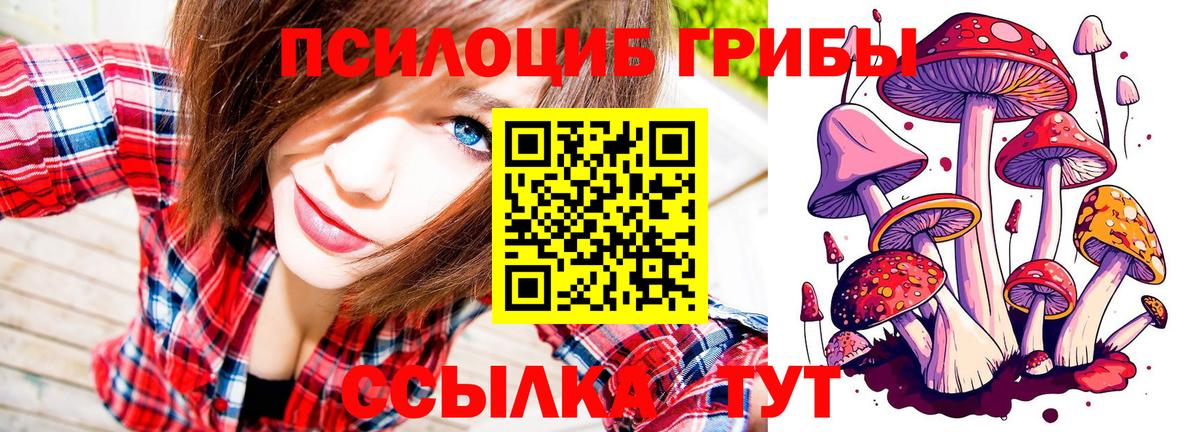 Псилоцибиновые грибы Psilocybe  Галлюциногенные грибы прущие грибы  Минусинск  Вход с VPN 